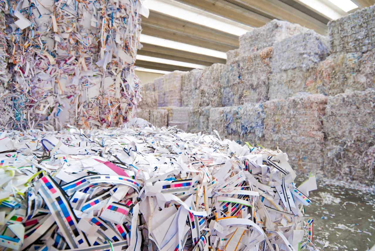 commercial waste - shredded paper recycling