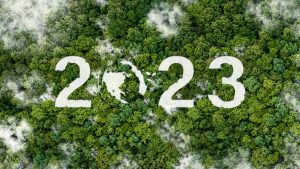 ESG trends 2023 - main image of overhead forest with the numbers 2023