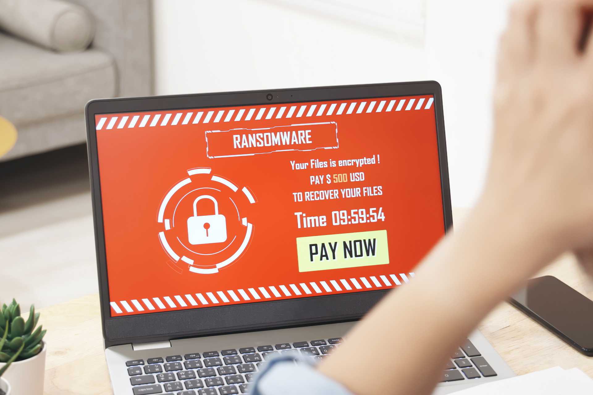 what is ransomware - person with encrypted laptop and data
